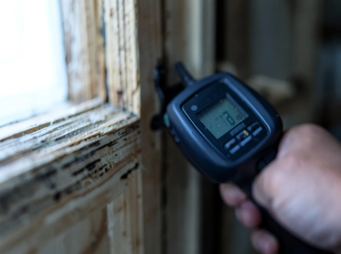 Moisture Inspection And Documentation in Happy Jack, AZ